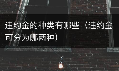 违约金的种类有哪些（违约金可分为哪两种）
