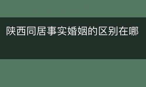陕西同居事实婚姻的区别在哪