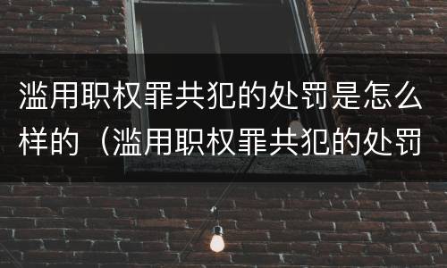 滥用职权罪共犯的处罚是怎么样的（滥用职权罪共犯的处罚是怎么样的呢）