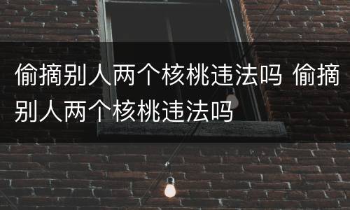 偷摘别人两个核桃违法吗 偷摘别人两个核桃违法吗