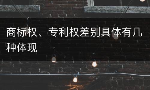 商标权、专利权差别具体有几种体现