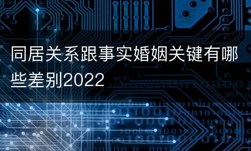 同居关系跟事实婚姻关键有哪些差别2022