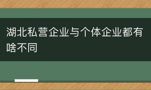 湖北私营企业与个体企业都有啥不同