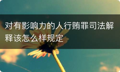 对有影响力的人行贿罪司法解释该怎么样规定