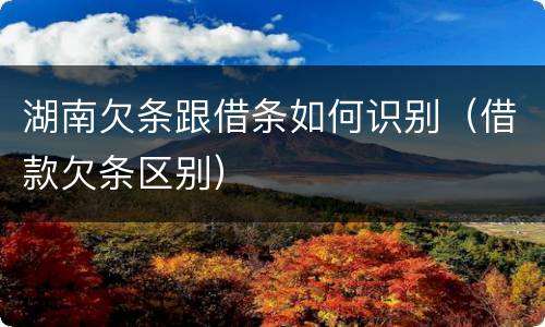 湖南欠条跟借条如何识别（借款欠条区别）