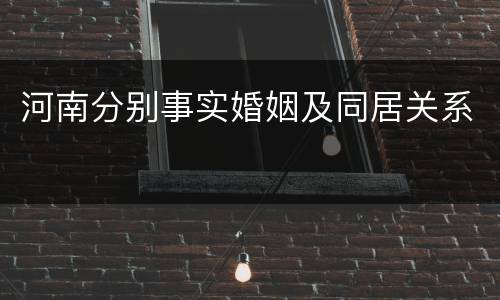河南分别事实婚姻及同居关系