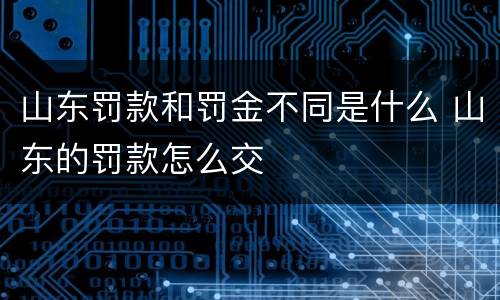山东罚款和罚金不同是什么 山东的罚款怎么交