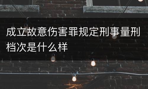 成立故意伤害罪规定刑事量刑档次是什么样