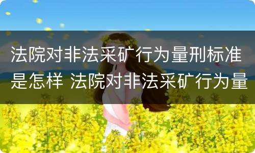 法院对非法采矿行为量刑标准是怎样 法院对非法采矿行为量刑标准是怎样定的