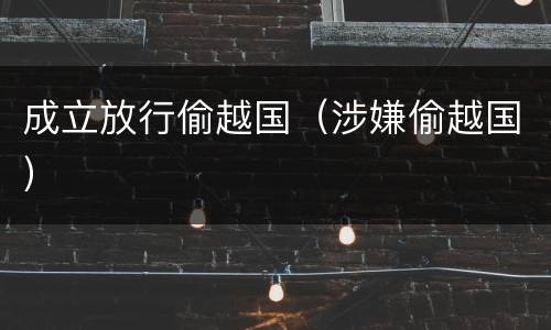 成立放行偷越国（涉嫌偷越国）