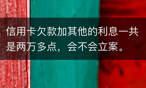 信用卡欠款加其他的利息一共是两万多点，会不会立案。