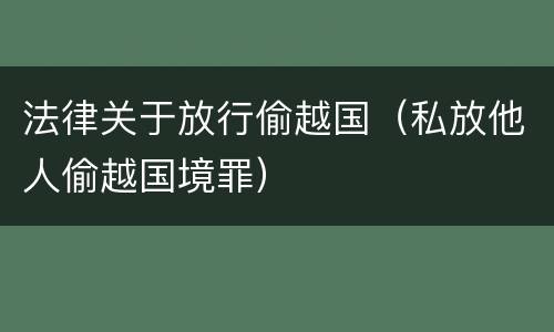 法律关于放行偷越国（私放他人偷越国境罪）