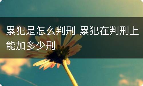 累犯是怎么判刑 累犯在判刑上能加多少刑