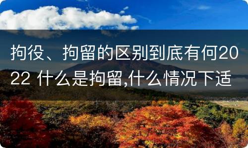 拘役、拘留的区别到底有何2022 什么是拘留,什么情况下适用拘留