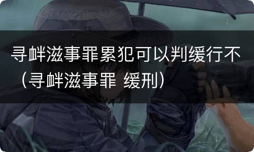 寻衅滋事罪累犯可以判缓行不（寻衅滋事罪 缓刑）