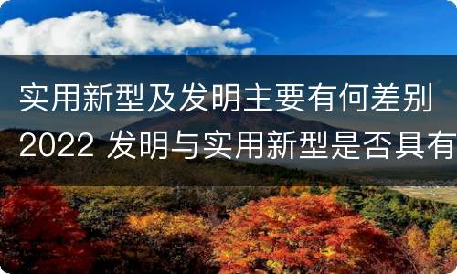 实用新型及发明主要有何差别2022 发明与实用新型是否具有实用性