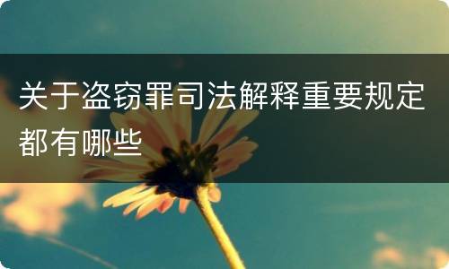 关于盗窃罪司法解释重要规定都有哪些
