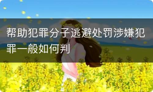 帮助犯罪分子逃避处罚涉嫌犯罪一般如何判