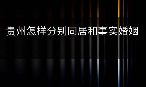 贵州怎样分别同居和事实婚姻