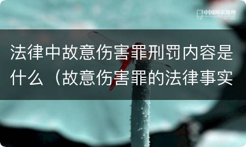 法律中故意伤害罪刑罚内容是什么（故意伤害罪的法律事实是什么）
