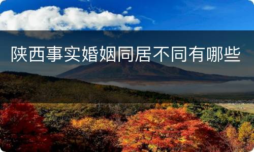 陕西事实婚姻同居不同有哪些