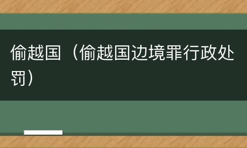 偷越国（偷越国边境罪行政处罚）