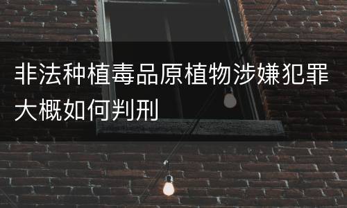 非法种植毒品原植物涉嫌犯罪大概如何判刑