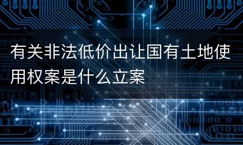 有关非法低价出让国有土地使用权案是什么立案