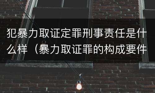 犯暴力取证定罪刑事责任是什么样（暴力取证罪的构成要件）