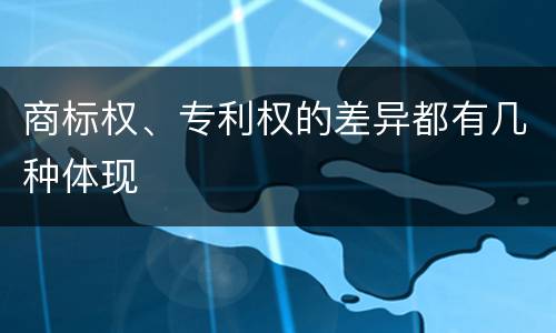 商标权、专利权的差异都有几种体现