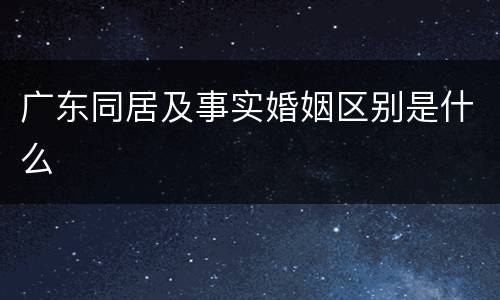广东同居及事实婚姻区别是什么