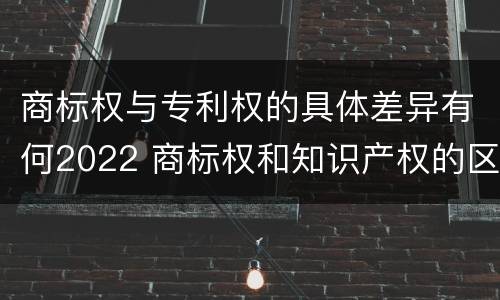 商标权与专利权的具体差异有何2022 商标权和知识产权的区别