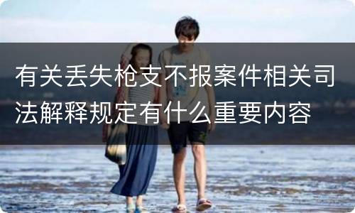 有关丢失枪支不报案件相关司法解释规定有什么重要内容