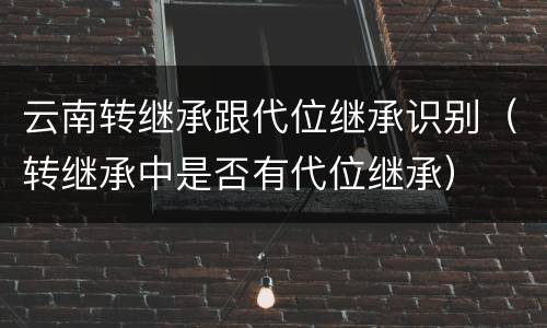 云南转继承跟代位继承识别(转继承中是否有代位继承)
