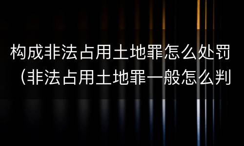 构成非法占用土地罪怎么处罚（非法占用土地罪一般怎么判决）