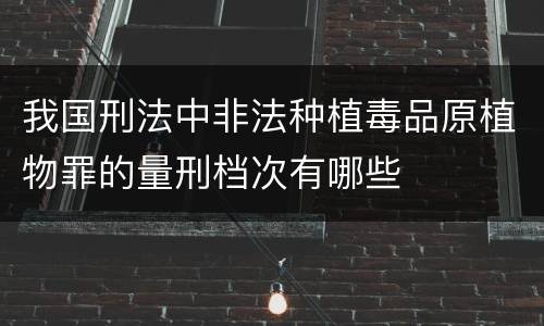 我国刑法中非法种植毒品原植物罪的量刑档次有哪些