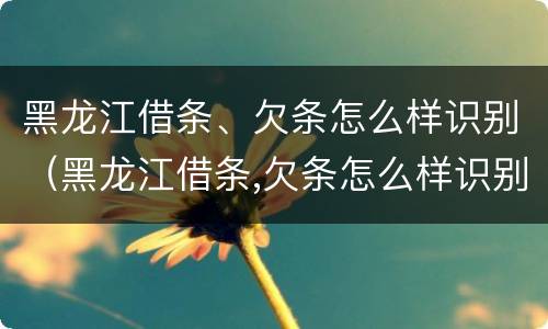 黑龙江借条、欠条怎么样识别（黑龙江借条,欠条怎么样识别）