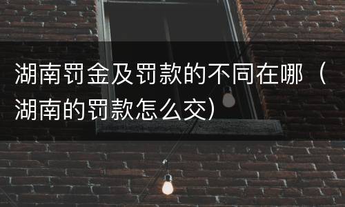 湖南罚金及罚款的不同在哪（湖南的罚款怎么交）