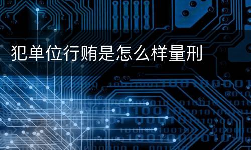 犯单位行贿是怎么样量刑