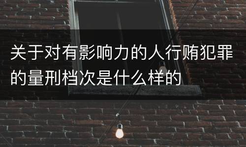 关于对有影响力的人行贿犯罪的量刑档次是什么样的