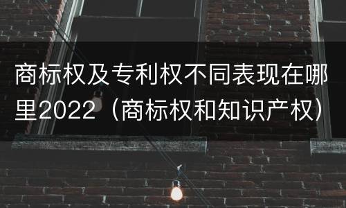 商标权及专利权不同表现在哪里2022（商标权和知识产权）