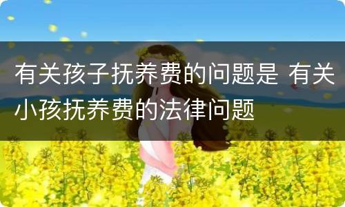 有关孩子抚养费的问题是 有关小孩抚养费的法律问题