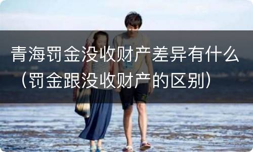 青海罚金没收财产差异有什么（罚金跟没收财产的区别）