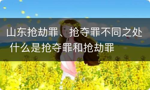 山东抢劫罪、抢夺罪不同之处 什么是抢夺罪和抢劫罪