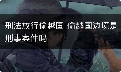 刑法放行偷越国 偷越国边境是刑事案件吗