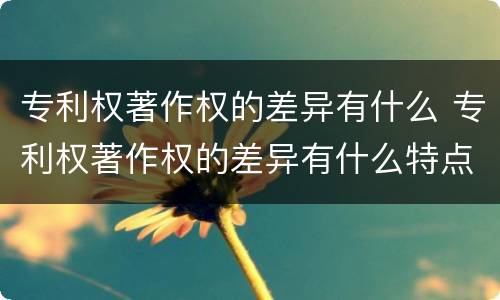 专利权著作权的差异有什么 专利权著作权的差异有什么特点