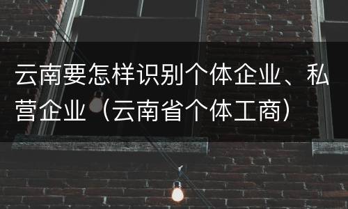云南要怎样识别个体企业、私营企业（云南省个体工商）