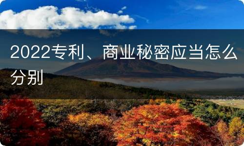 2022专利、商业秘密应当怎么分别