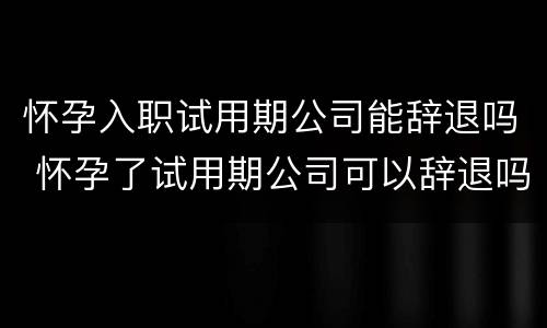 怀孕入职试用期公司能辞退吗 怀孕了试用期公司可以辞退吗