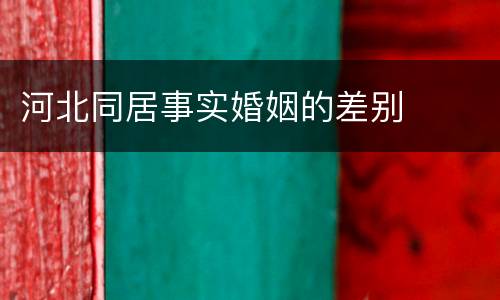 河北同居事实婚姻的差别